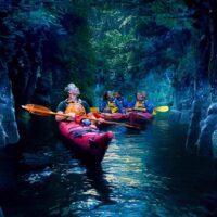 Tours & Sightseeing