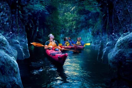 Evening Glow Worm Kayak Tour in Tauranga