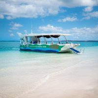 Tours & Sightseeing