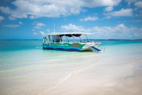 Great Sandy Marine Park, Turtle Discovery & Cultural Ecotour