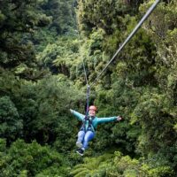 Tours & Sightseeing