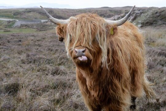 Hill & Nature Hike - Discover Real Edinburgh With a Local Expert