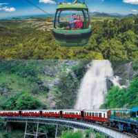 Trolley Tours