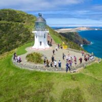 Cultural Tours