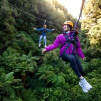 Walking & Biking Tours