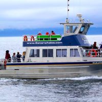 Cruises, Sailing & Water Tours