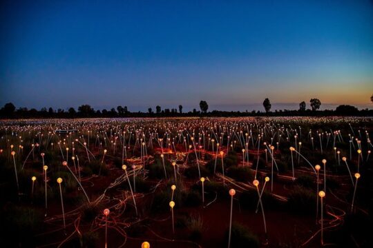 Uluru (Ayers Rock) Field of Light Sunrise Tour