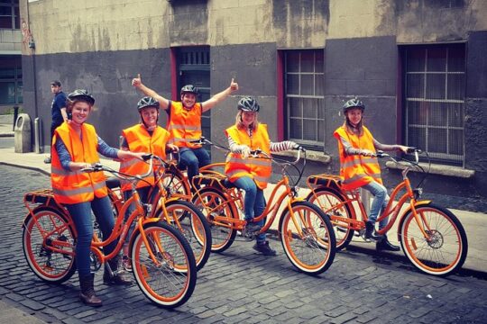 Electric Bike Tour in Dublin