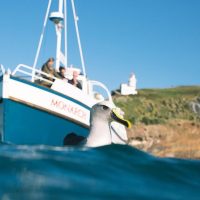 Cruises, Sailing & Water Tours
