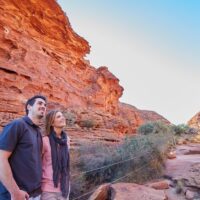 Tours & Sightseeing