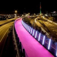 Night Tours