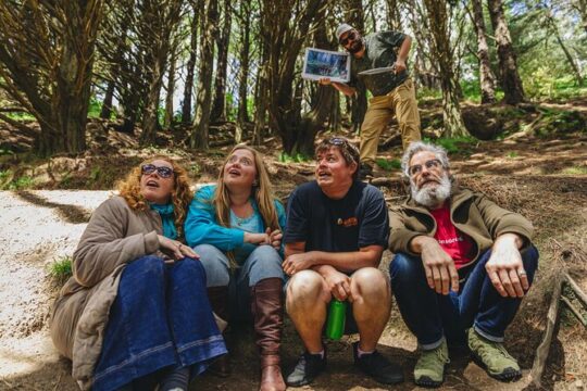 Wellington's Half Day Lord of the Rings Tour (including Weta Tour)