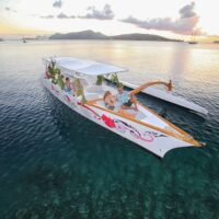 Day Cruises