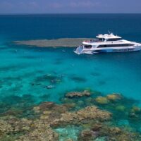 Day Cruises
