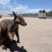 Shore Excursions