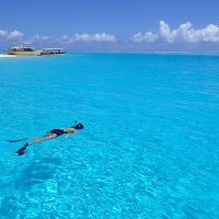 Private Sightseeing Tours