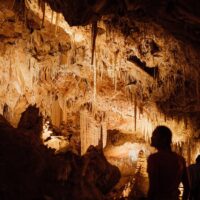 Sightseeing Tickets & Passes
