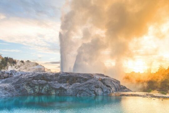 Waitomo Caves & Rotorua Small Group Tour including Te Puia from Auckland