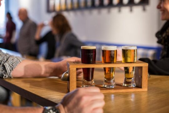Speight Brewery Small Group Guided Tour from Dunedin