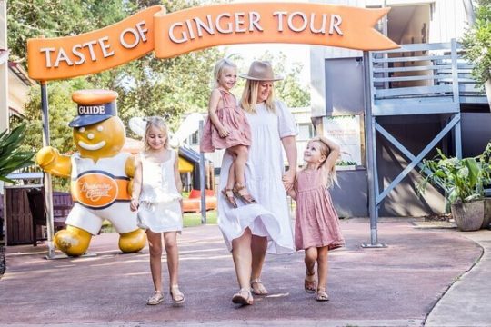 Sunshine Coast Hinterland Rainforest, Views and Montville Day Tour Inc. Lunch