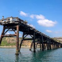 Cruises, Sailing & Water Tours
