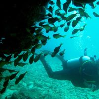 Scuba Diving
