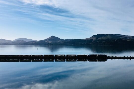 Shore Excursion: Dunedin City, Otago Peninsula, Castle Gardens & Olveston Tour