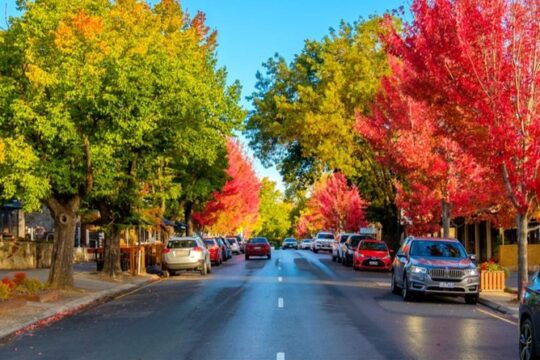 Barossa Valley Full-Day Tour