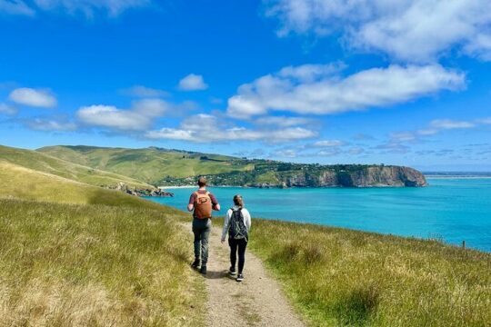 Guided Walking Tour and Picnic on Banks Peninsula