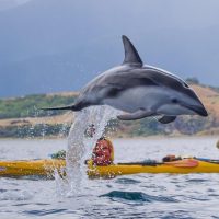 Water Sports