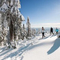 Private Sightseeing Tours
