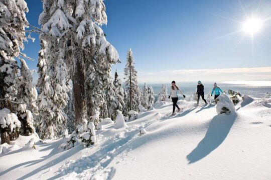 Private Tour: Capilano Suspension Bridge and Grouse Mountain