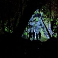 Night Tours