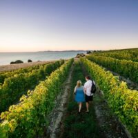 Day Trips & Excursions