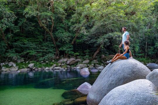 Full Day Daintree Rainforest and Mossman Gorge Tour