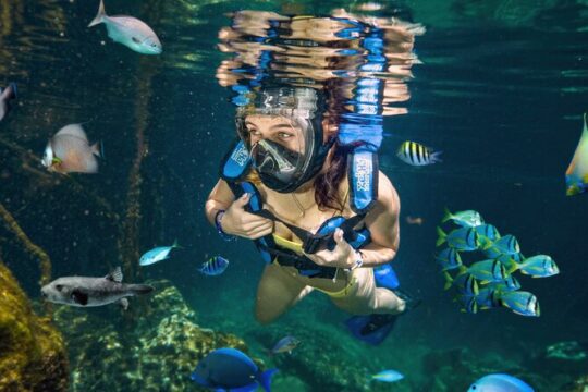 Priority Access: Xel-Há All-Inclusive Day Trip with Transportation