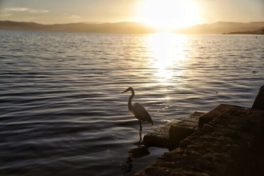 Chapala Lake & Ajijic Tour with "Tres Potrillos Ranch"