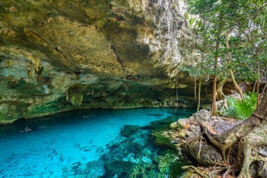 Tulum Ruins Visit and Swim in Two Different Cenotes Guided Tour