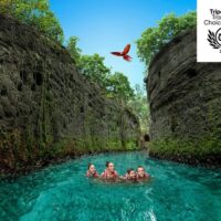 Sightseeing Tickets & Passes