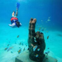 Sailing Trips
