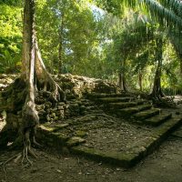 Tours & Sightseeing