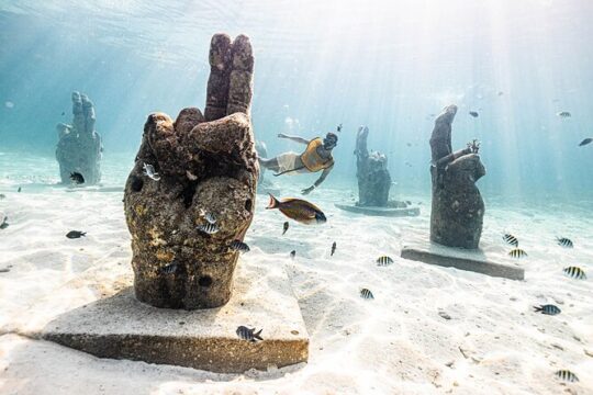 Reef and Shipwreck Snorkeling Tour in Cancun