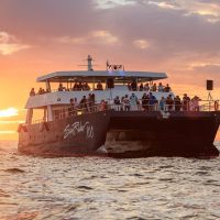 Catamaran Cruises