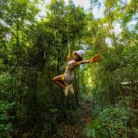 Ziplines