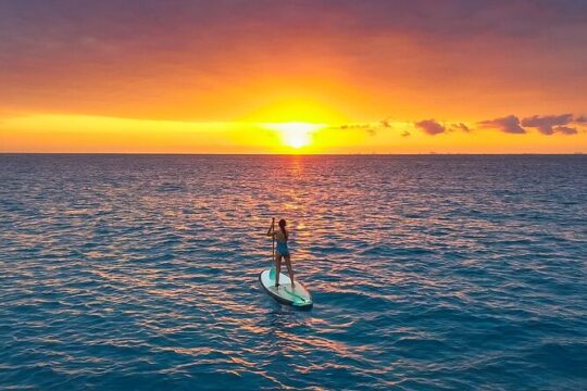 The sunrise paddleboard tour - our award winning #1 group tour