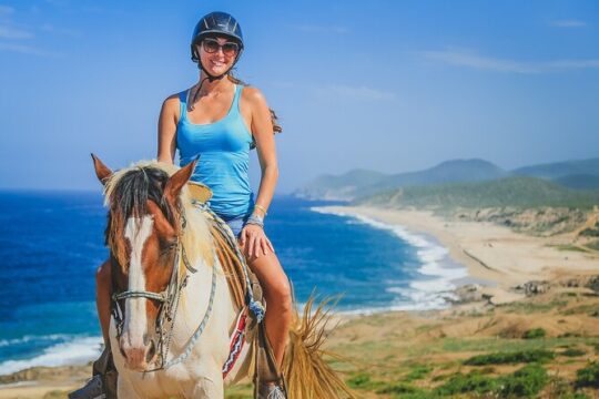 Los Cabos Horseback Riding