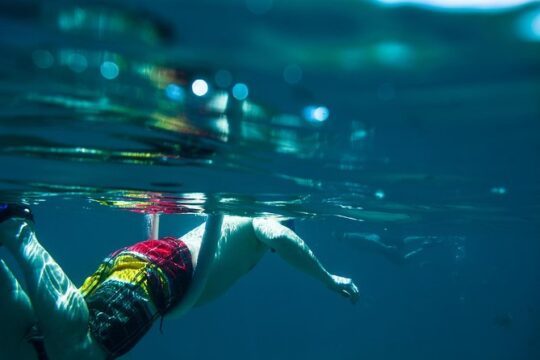 Los Cabos Snorkeling Tour to Chileno Bay and Santa Maria Cove