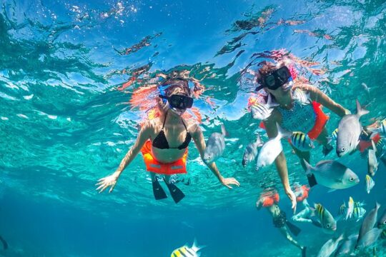 Isla Mujeres Tour: Beach Club, Snorkel & Sailing with Lunch & Bar