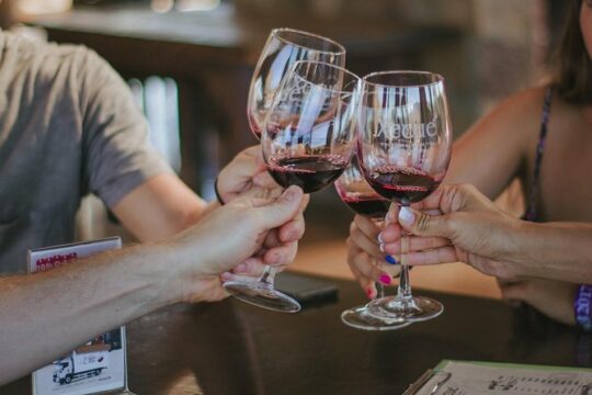 Xecue Wine Tasting in the Guadalupe Valley
