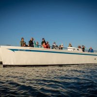 Catamaran Cruises